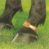 Horse Pastern Strap